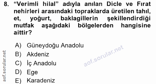 Soru 8