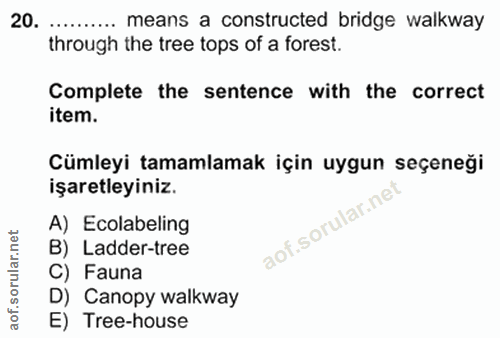 Soru 20