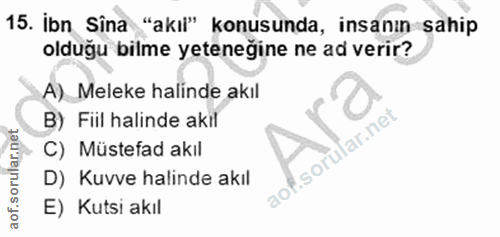 Soru 15