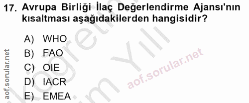 Soru 17