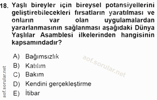 Soru 18