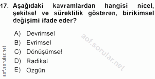Soru 17