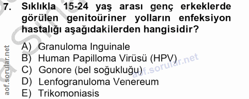 Soru 7