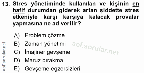 Soru 13
