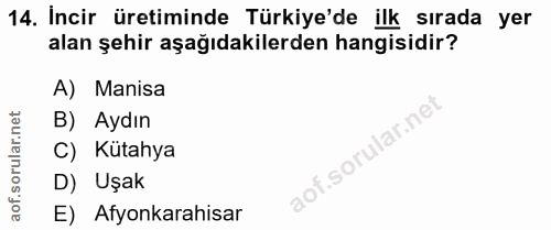 Soru 14