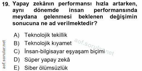 Soru 19