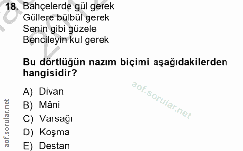 Soru 18