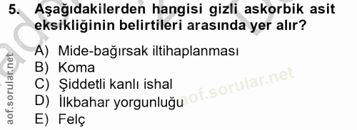 Soru 5