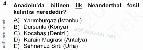 Soru 4