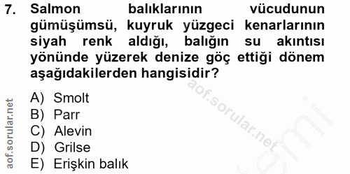 Soru 7