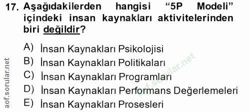 Soru 17