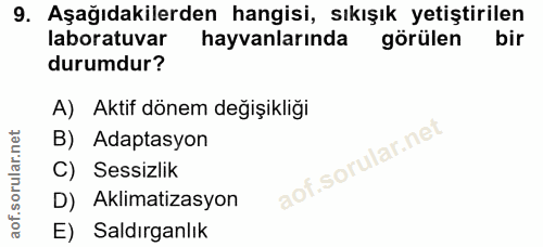 Soru 9