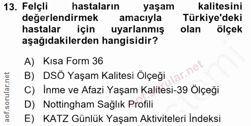 Soru 13