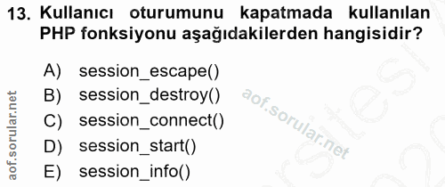 Soru 13