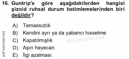Soru 16