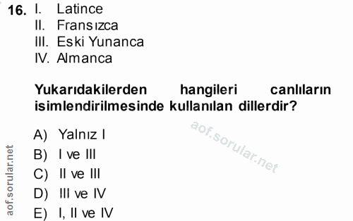 Soru 16