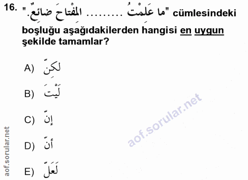Soru 16