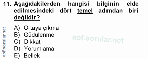 Soru 11