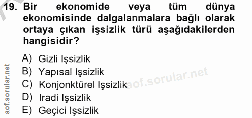 Soru 19