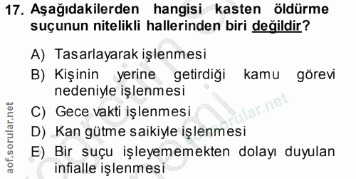 Soru 17