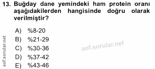 Soru 13