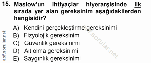 Soru 15