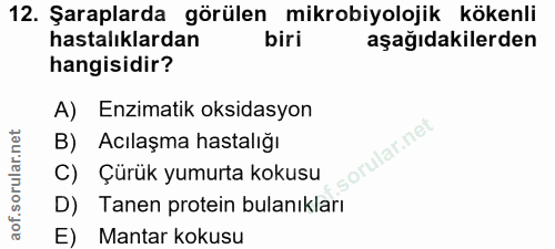 Soru 12