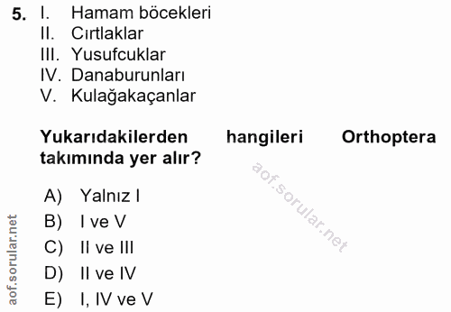 Soru 5