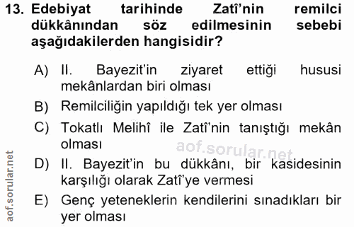 Soru 13