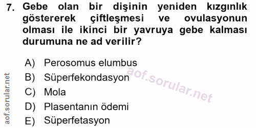 Soru 7