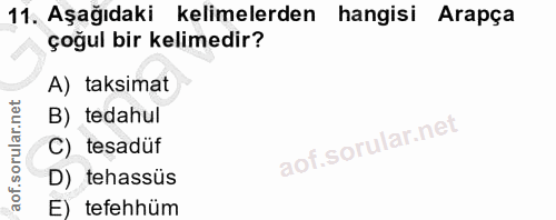 Soru 11