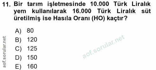 Soru 11