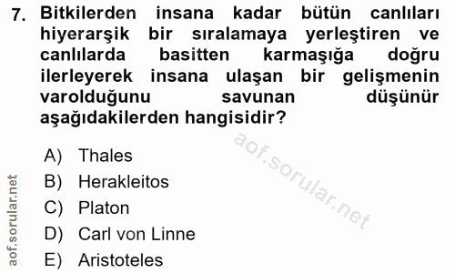 Soru 7