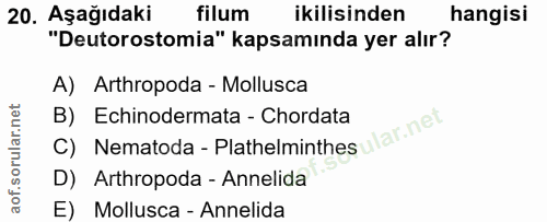 Soru 20