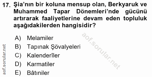 Soru 17