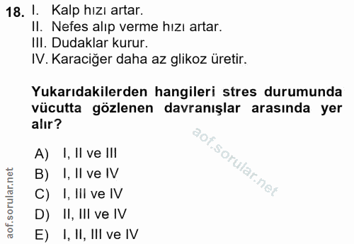 Soru 18