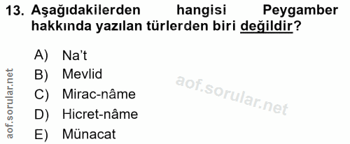 Soru 13