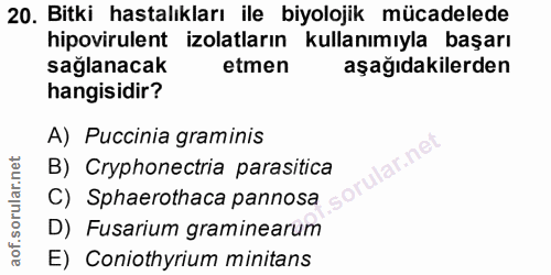 Soru 20