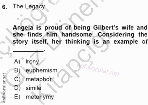Soru 6