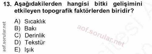 Soru 13