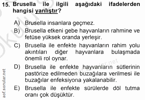 Soru 15