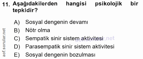 Soru 11