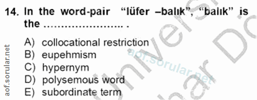 Soru 14