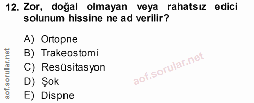 Soru 12