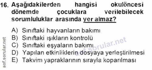Soru 16