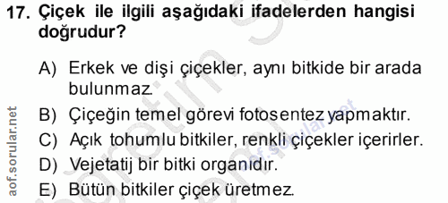 Soru 17