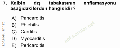 Soru 7
