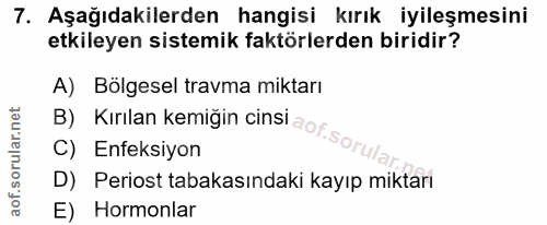 Soru 7