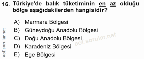 Soru 16