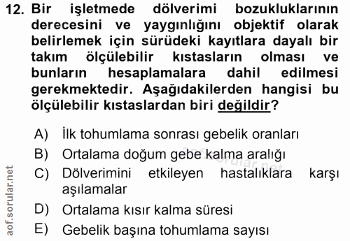 Soru 12